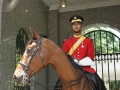 kl-DSC06153