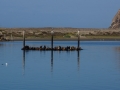 2014-nightDSC05238