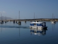 2014-nightDSC05240