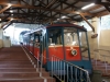 DSC09513.jpg