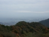 DSC09517.jpg