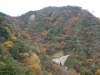 DSC09530.jpg