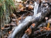 DSC09539.jpg