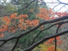 DSC09540.jpg