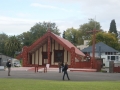 nz-DSC08685