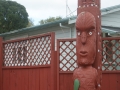 nz-DSC08690