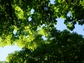 19road-DSC01181