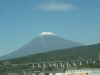 DSC08689.jpg