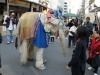 DSC08719.jpg