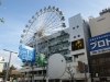 DSC08725.jpg