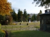 DSC08732.jpg