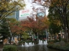 DSC08746.jpg