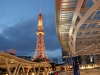 DSC08752.jpg