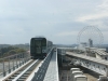 DSC08818.jpg