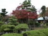 DSC08823.jpg