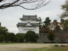 DSC08824.jpg