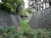 DSC08828.jpg