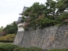 DSC08830.jpg