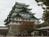 DSC08833.jpg