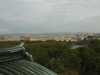 DSC08838.jpg
