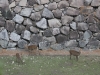 DSC08848.jpg