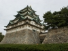 DSC08849.jpg