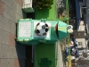 DSC09382.jpg