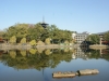 DSC09396.jpg