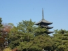 DSC09399.jpg