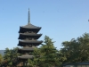 DSC09406.jpg
