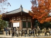 DSC09408.jpg