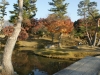DSC09422.jpg