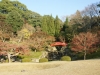 DSC09423.jpg