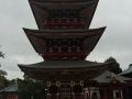 thumb_IMG_6443_1024