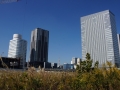 thumb_DSC09556_1024