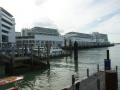 nz-DSC08281