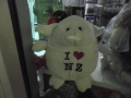 nz-P4210038
