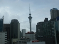 nz-DSC08283