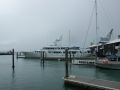 nz-DSC08293