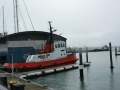 nz-DSC08294