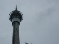 nz-DSC08301