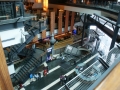 nz-DSC08303