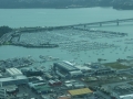 nz-DSC08328