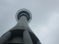 nz-DSC08343