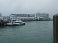nz-DSC08348