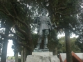 nz-DSC08370