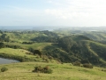 nz-DSC08492