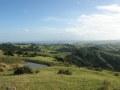 nz-DSC08494