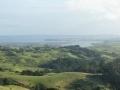nz-DSC08500