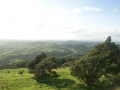 nz-DSC08501